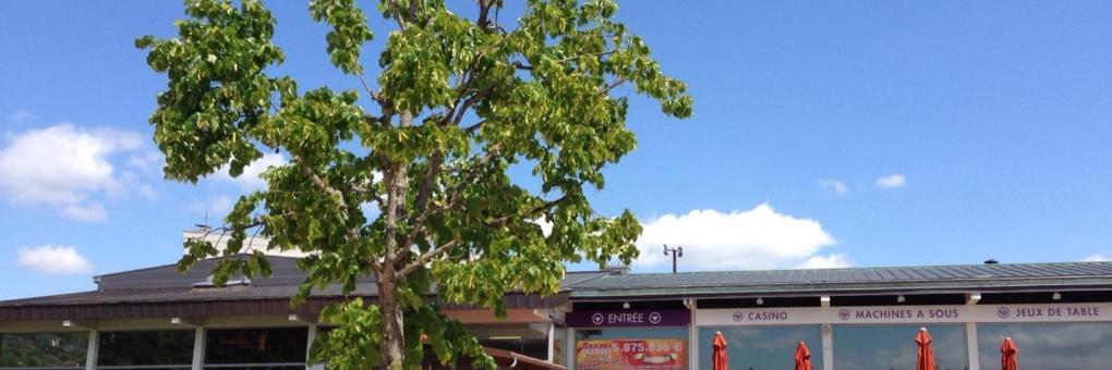 Casino de Gérardmer